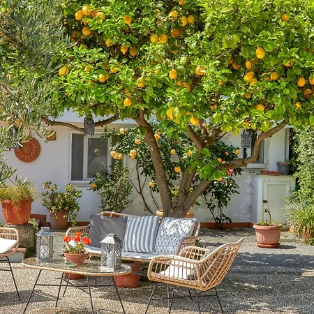 Bed and Breakfast Acquaviva 31 4*