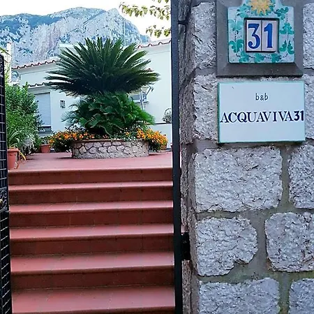 Acquaviva 31 4*